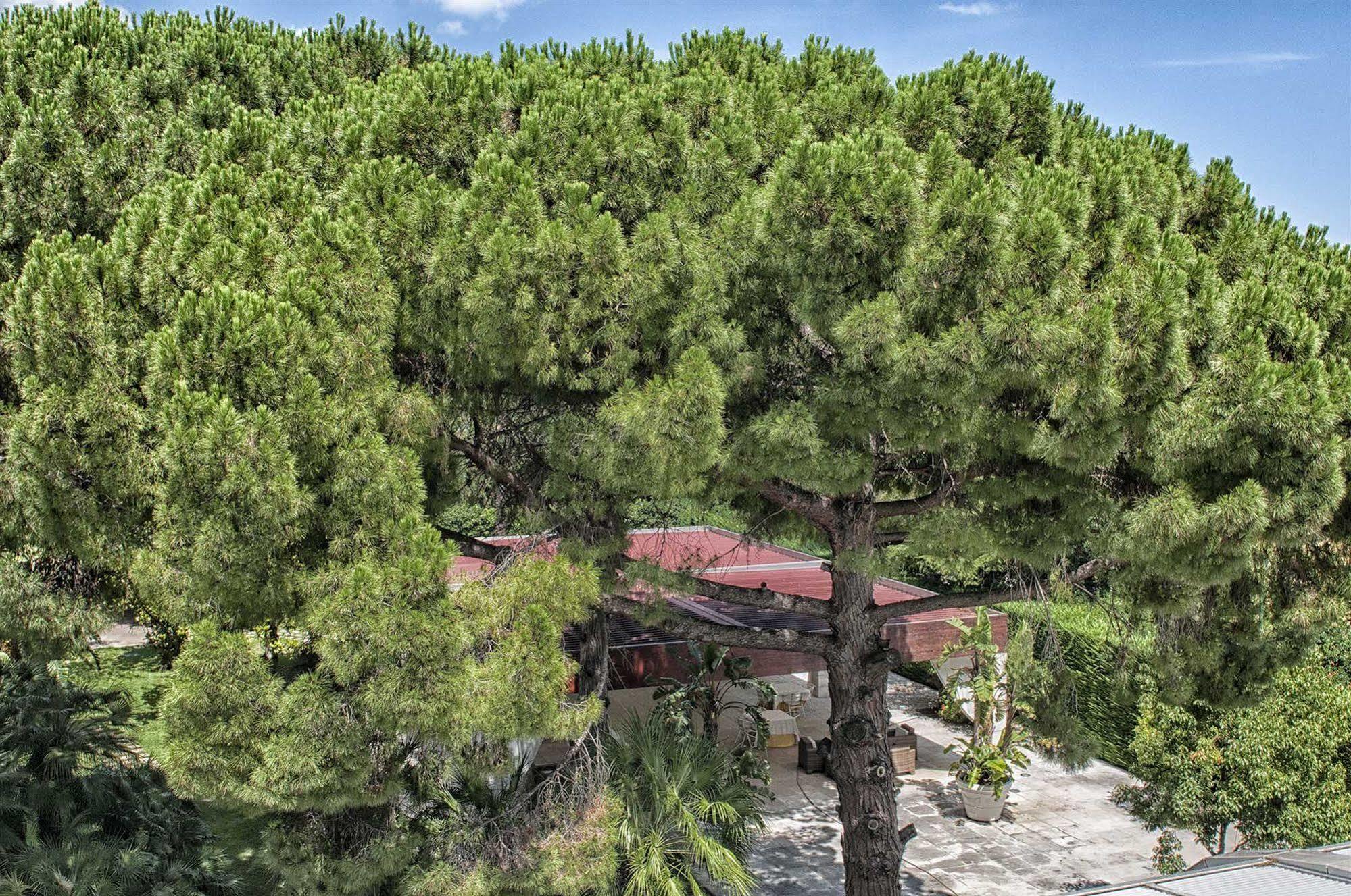 Garden Hotel Molfetta Exteriér fotografie